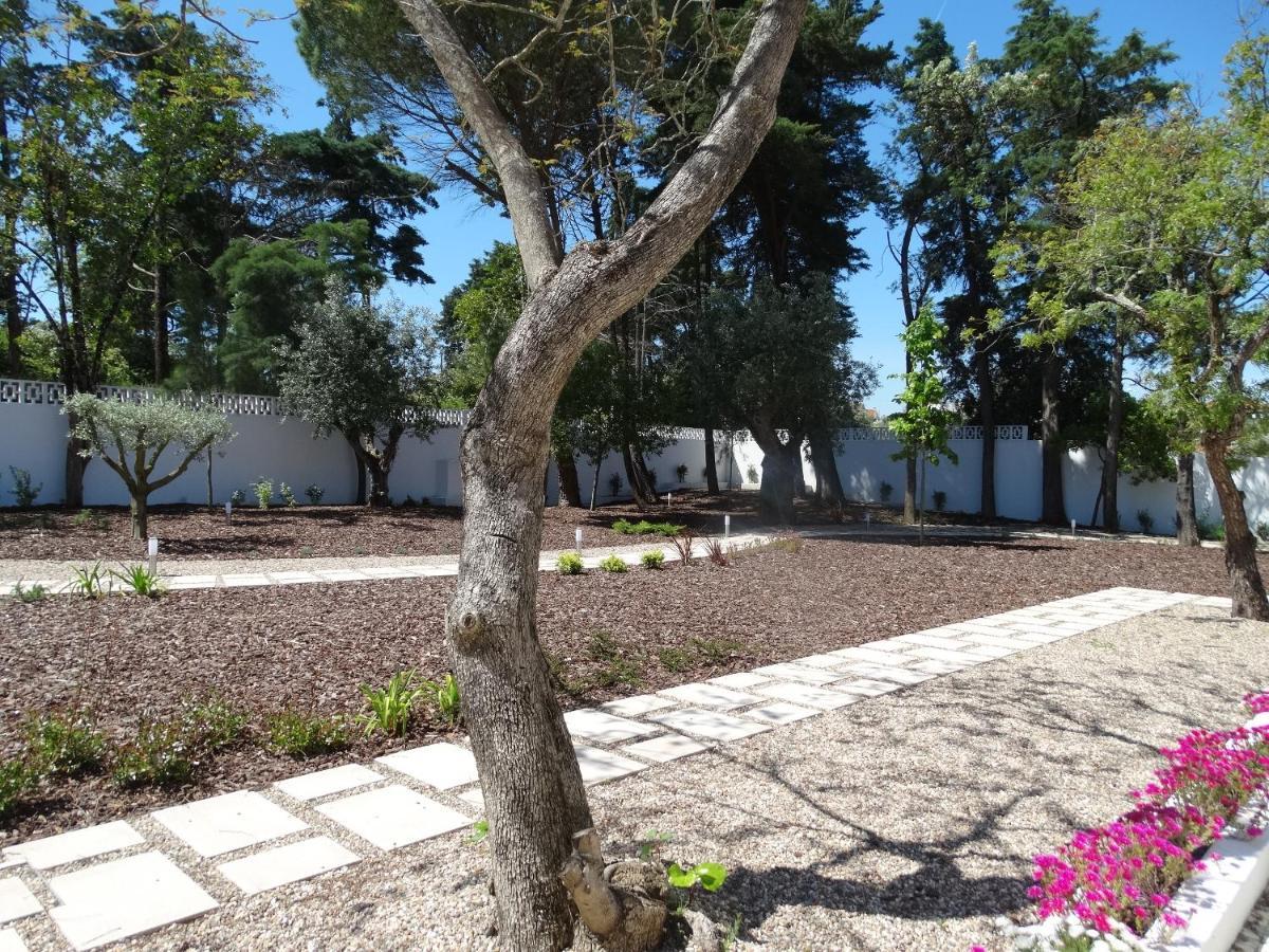 Aires Da Serra Hotel Torres Novas Extérieur photo
