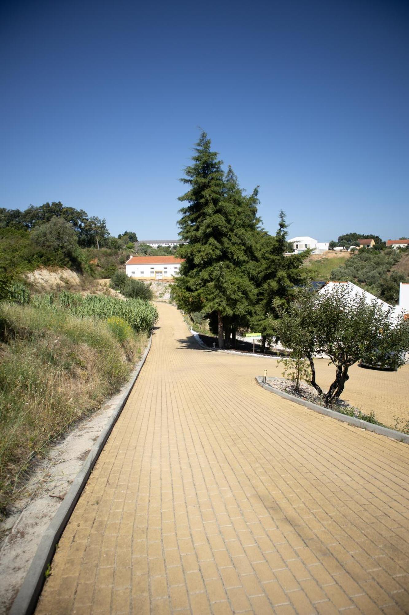 Aires Da Serra Hotel Torres Novas Extérieur photo